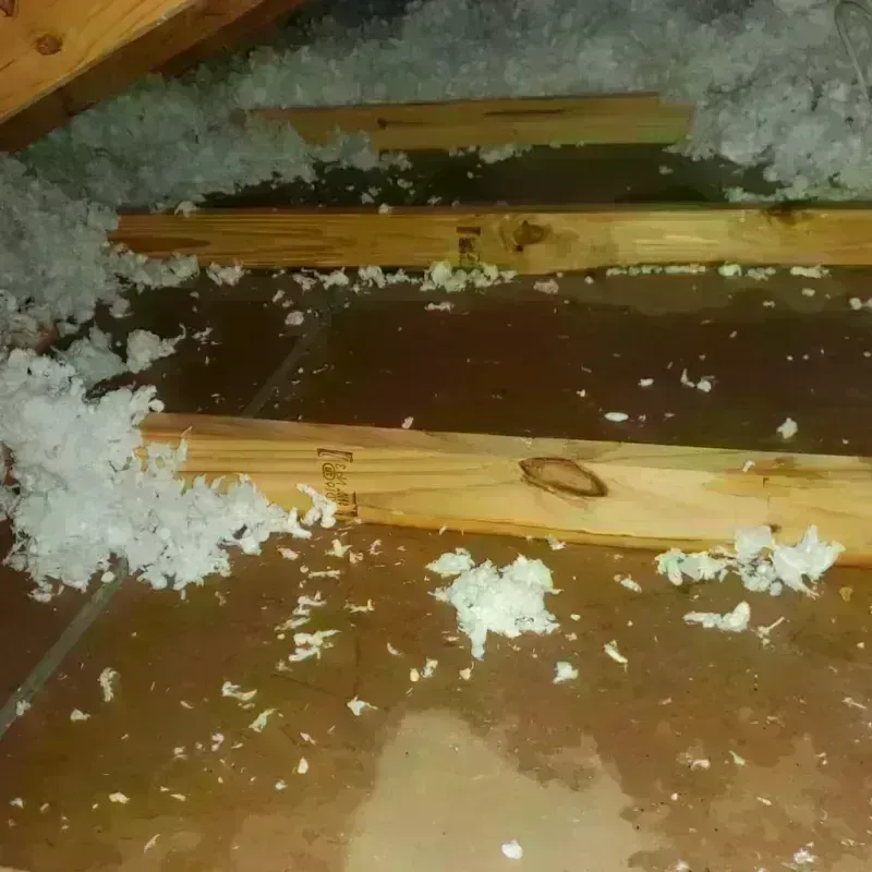 Attic Water Damage in Sayville, NY