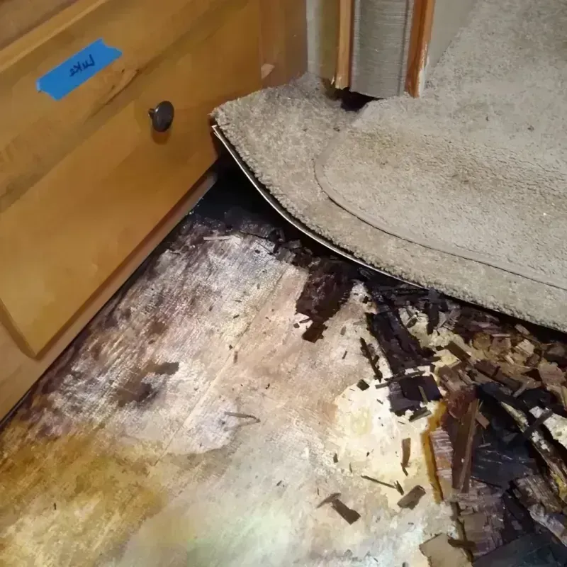 Best Wood Floor Water Damage Service in Sayville, NY